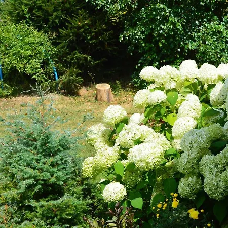 W Sercu Pogórza Karpackiego Lichwin