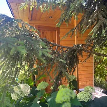 W Sercu Pogórza Karpackiego *