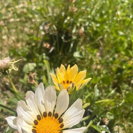 W Sercu Pogórza Karpackiego Apartamento *