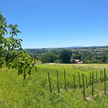 W Sercu Pogórza Karpackiego Apartamento Lichwin