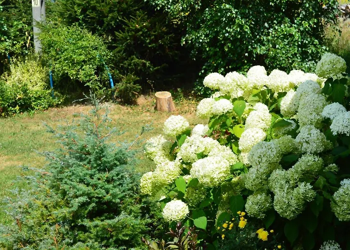 W Sercu Pogorza Karpackiego Lichwin