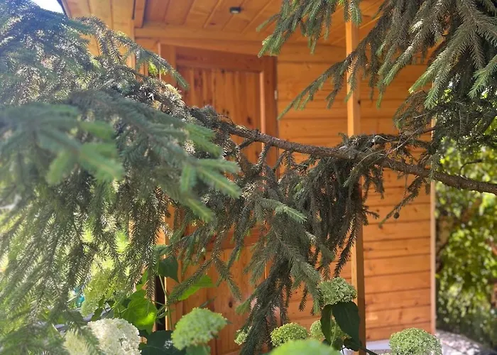 W Sercu Pogorza Karpackiego *